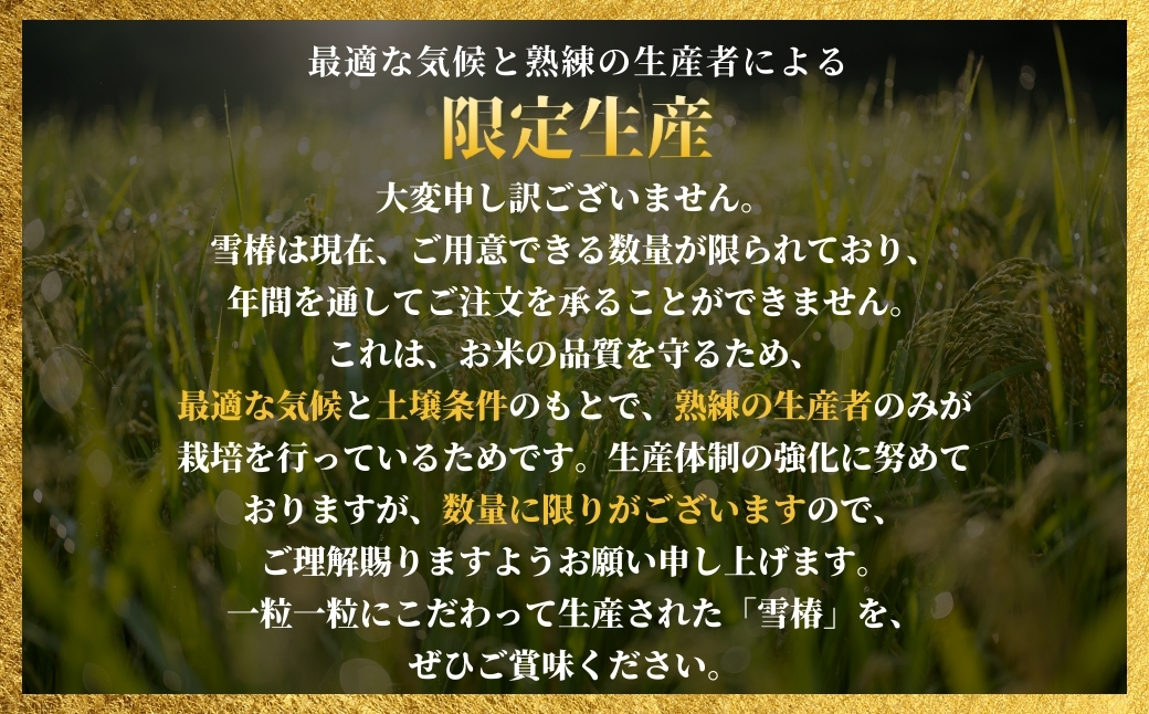 【寄付額見直し】【2025年産 】【3ヶ月定期便】最高級魚沼産コシヒカリ「雪椿」5kg (5kg×1袋) 特別栽培米