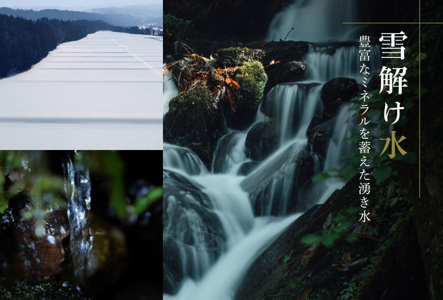 【2025年産 】【木箱入り】最高級魚沼産コシヒカリ「雪椿」5kg (5kg×1袋) 特別栽培米