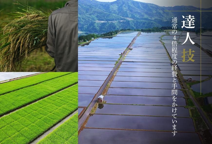 【2025年産 】【木箱入り】最高級魚沼産コシヒカリ「雪椿」5kg (5kg×1袋) 特別栽培米