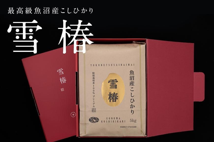 【2025年産 】【化粧箱入り】最高級魚沼産コシヒカリ「雪椿」5kg (5kg×1袋) 特別栽培米