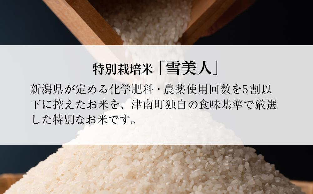 【12ヶ月定期便】【令和8年産】魚沼産コシヒカリ 特別栽培米「雪美人」10kg(5kg×2袋)