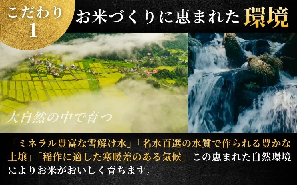 【寄付額見直し】最高級魚沼産コシヒカリ「雪椿」10kg(5kg×2袋)　特別栽培米 令和7年産