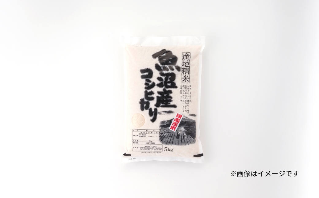 【6ヶ月定期便】令和7年産魚沼（津南）産コシヒカリ 5kg（5kg×1袋）新潟県 津南町 (有)フジミヤ