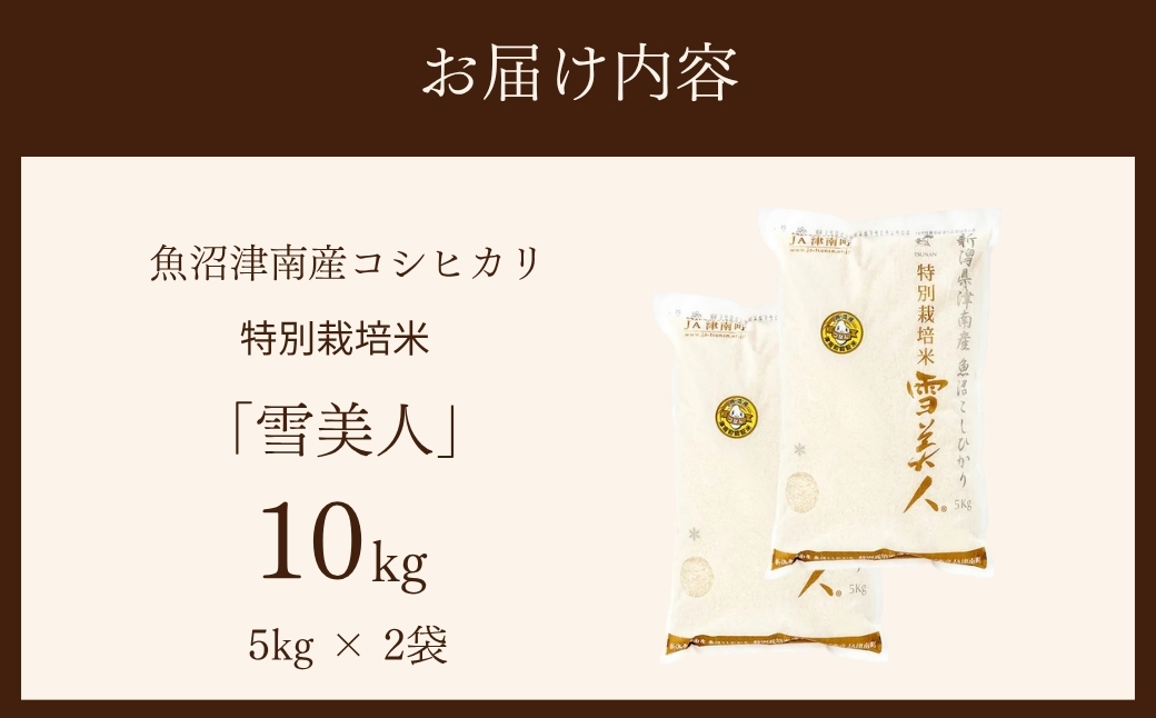 【12ヶ月定期便】【令和8年産】魚沼産コシヒカリ 特別栽培米「雪美人」10kg(5kg×2袋)