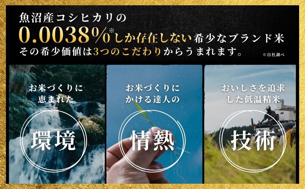 【寄付額見直し】【2025年産 】【3ヶ月定期便】最高級魚沼産コシヒカリ「雪椿」5kg (5kg×1袋) 特別栽培米