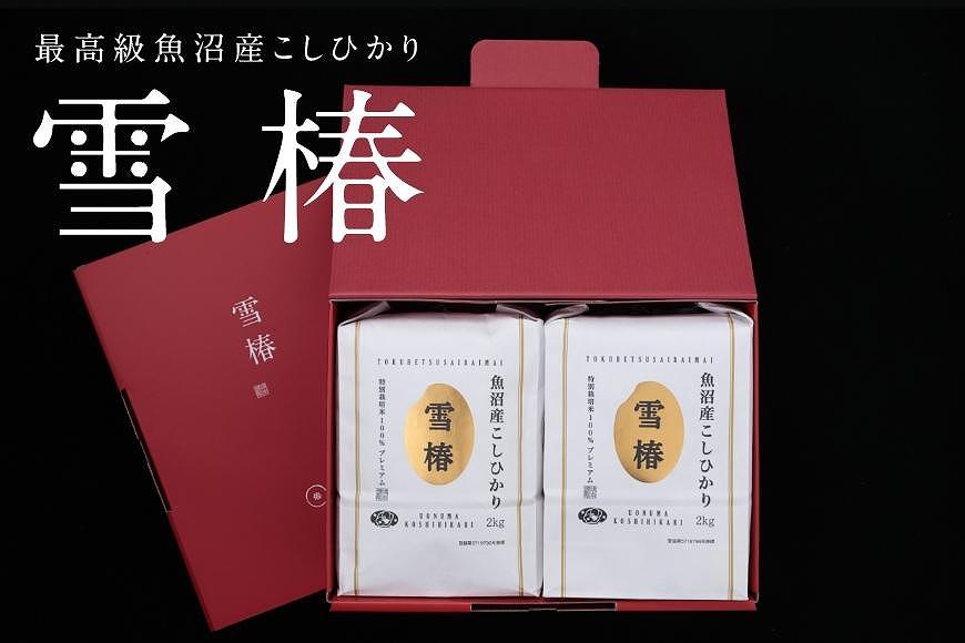 【2025年産 】【ギフト用】最高級魚沼産コシヒカリ「雪椿」2kg×2袋 化粧箱入り 特別栽培米