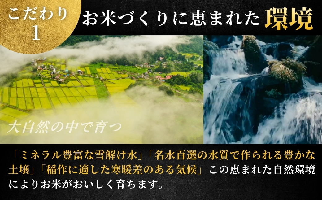 【寄付額見直し】【2025年産 】【3ヶ月定期便】最高級魚沼産コシヒカリ「雪椿」5kg (5kg×1袋) 特別栽培米