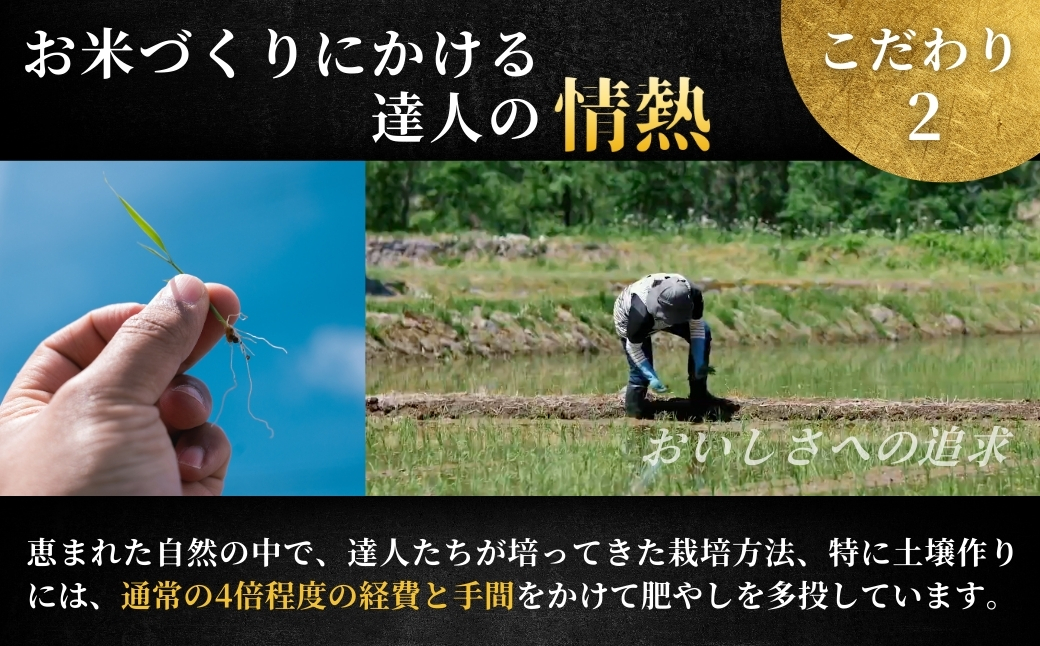 【寄付額見直し】【2025年産 】【3ヶ月定期便】最高級魚沼産コシヒカリ「雪椿」5kg (5kg×1袋) 特別栽培米