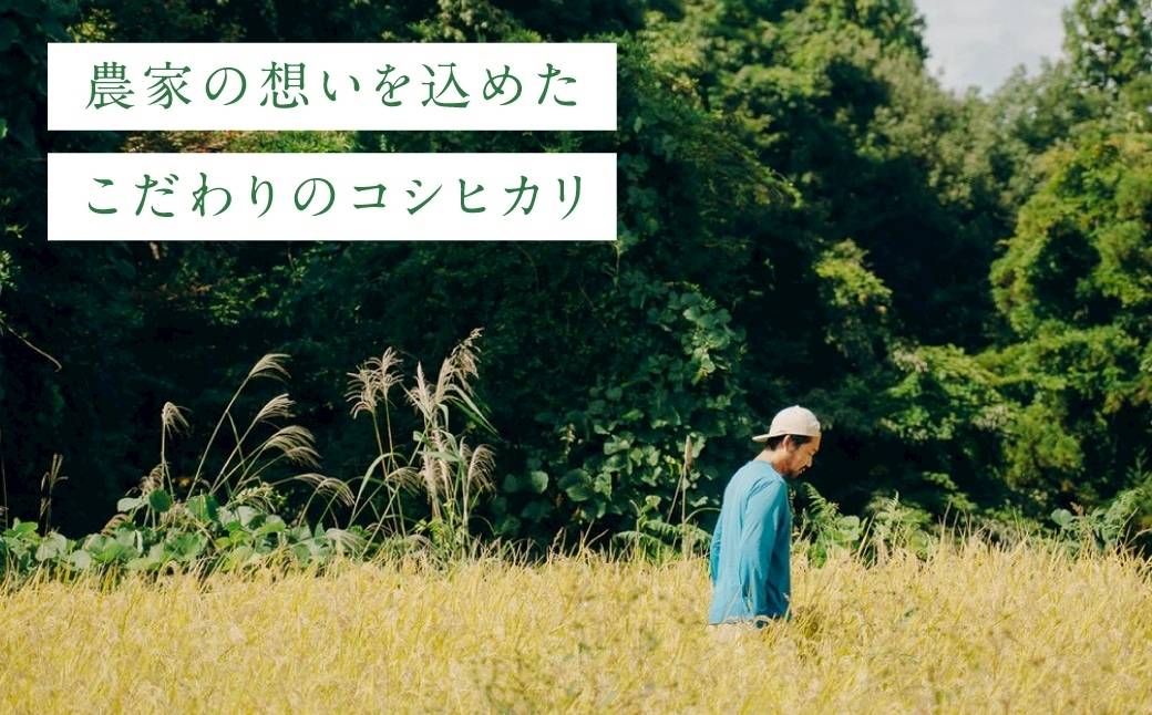 令和7年産 魚沼産コシヒカリ「亀福 原点復帰米」5kg(特別栽培米) | お米 おこめ 白米 精米 おすすめ 人気 新潟県 津南町 株式会社亀福