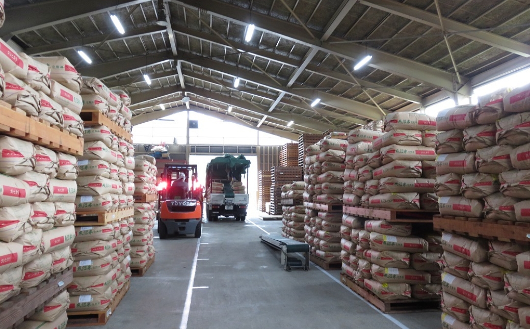 【12ヶ月定期便】【令和7年産】魚沼産コシヒカリ 「段丘の華」10kg(5kg×2袋) 新潟県 津南町 大阪屋商店