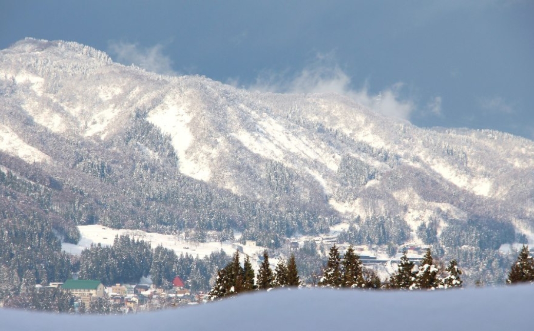 縲6繝カ譛亥ョ壽悄萓ソ縲代蝉サ、蜥7蟷エ逕」縲鷹ュ壽イシ逕」繧ウ繧キ繝偵き繝ェ 迚ケ蛻・譬ス蝓ケ邀ウ 豢・蜊礼伴隱崎ィシ邀ウシ5kgシ画眠貎溽恁 豢・蜊礼伴 螟ァ髦ェ螻句膚蠎