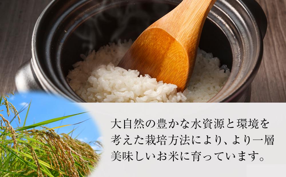 【12ヶ月定期便】【令和8年産】魚沼産コシヒカリ 特別栽培米「雪美人」10kg(5kg×2袋)