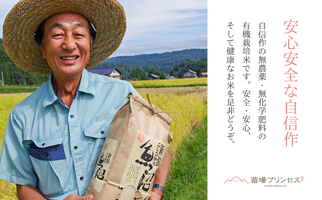 ã什å8幎ç£å
è¡äºçŽãéæ²Œç£ã«ãã®ãããã çç±³ 5kg(5kgÃ1è¢) ææ©ïŒªïŒ¡ïŒ³èªèšŒç±³ æ°æœç接åçº