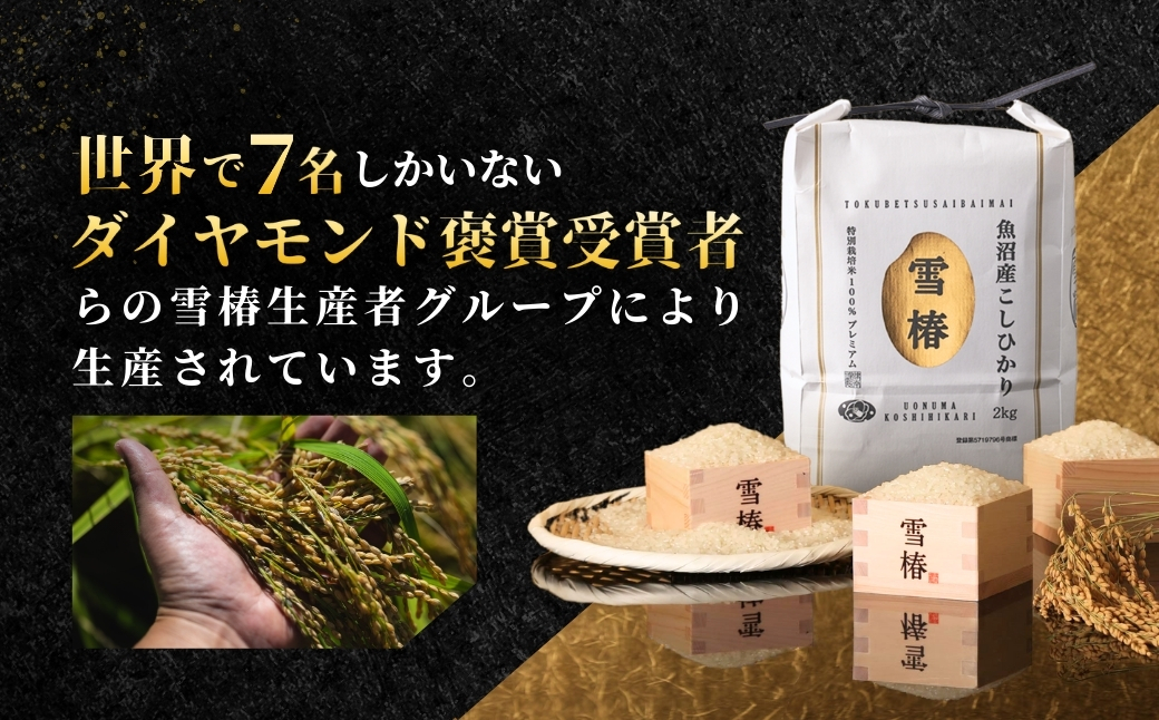【寄付額見直し】【令和7年産】最高級魚沼産コシヒカリ「雪椿」2kg (2kg×1袋) 特別栽培米