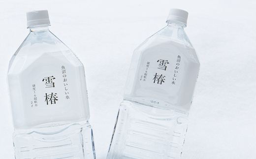 【定期便】雪椿の天然水 2L×6本×全12回