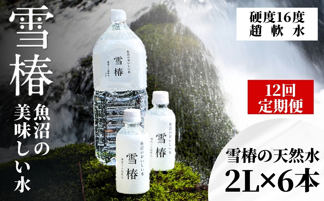 【12ヶ月定期便】雪椿の天然水 2L×6本