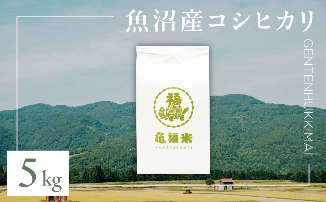 令和7年産 魚沼産コシヒカリ「亀福 原点復帰米」5kg(特別栽培米) | お米 おこめ 白米 精米 おすすめ 人気 新潟県 津南町 株式会社亀福