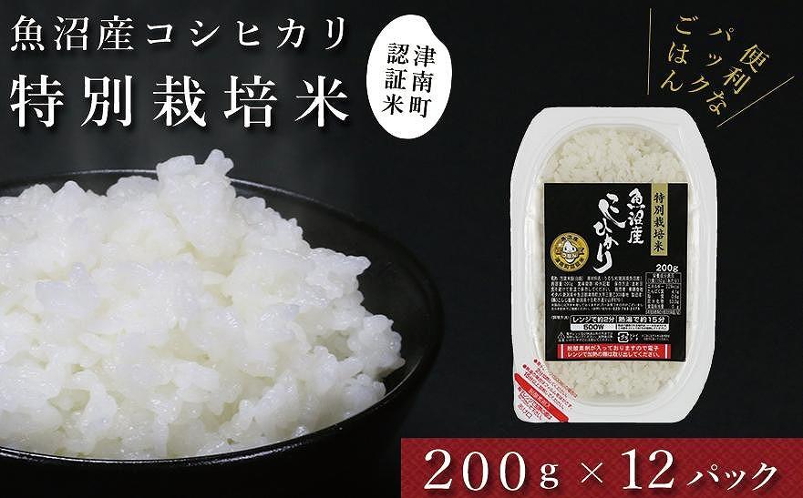 令和7年産 パックご飯 魚沼産コシヒカリ「特別栽培米」200g×12袋 パックライス