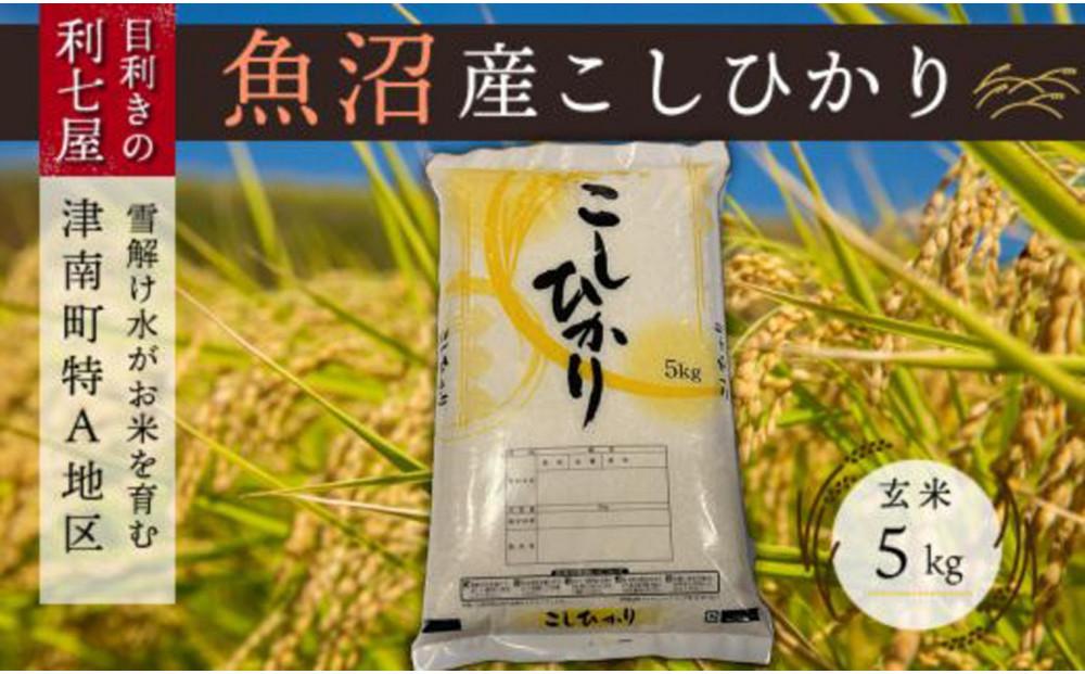 【令和6年産 新米】【魚沼産コシヒカリ 玄米5kg×全6回】雪解け水がお米を育む、津南町特A地区の美味しいお米。