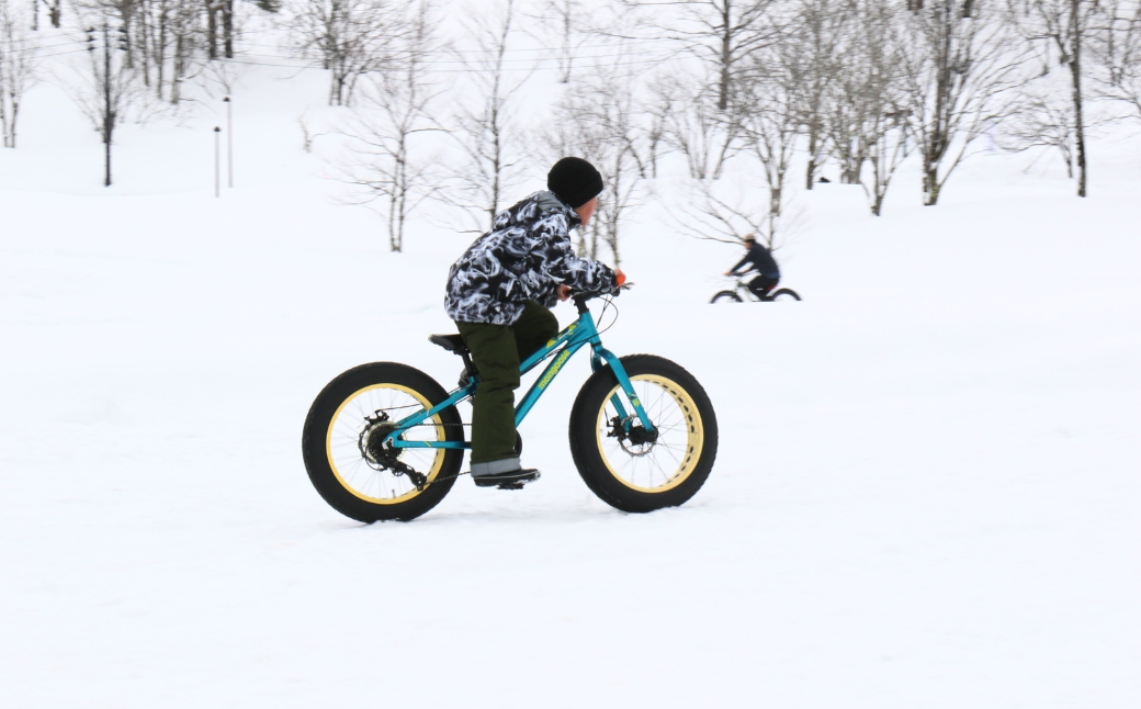 【2026年3月14日(土)開催】第50回つなん雪まつり チケット なじょもんエリア（N）スカイランタン付駐車場券 | 新潟県 津南町
