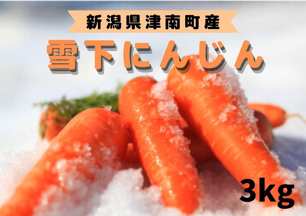 【季節限定】雪国ならではの逸品！津南町の雪下にんじん（３ｋｇ）