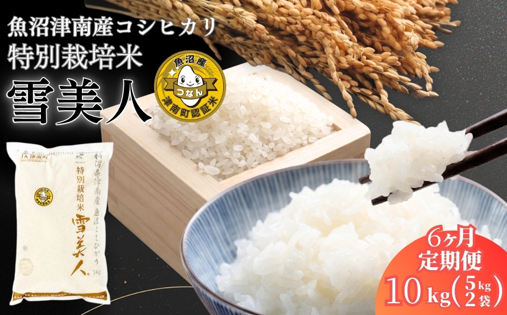 【6ヶ月定期便】【令和8年産】魚沼産コシヒカリ 特別栽培米「雪美人」10kg(5kg×2袋)