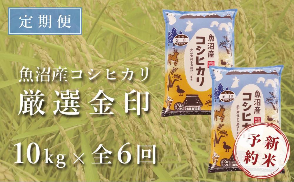 ＜令和6年産新米予約＞【定期便】魚沼産コシヒカリ「金印」高食味米 10kg×全6回