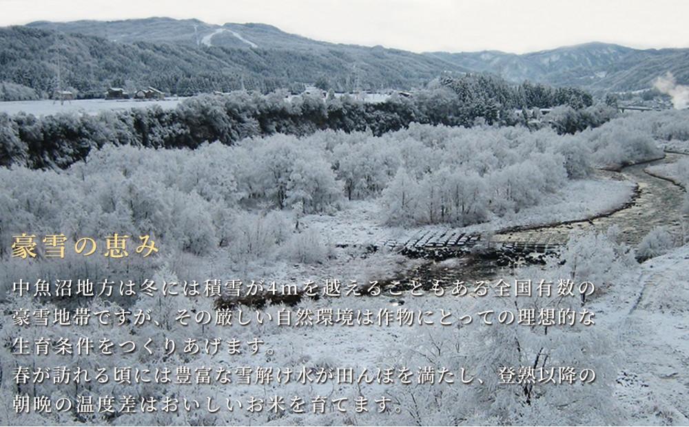 ＜令和6年産新米予約＞魚沼産コシヒカリ「金印」高食味米 10kg