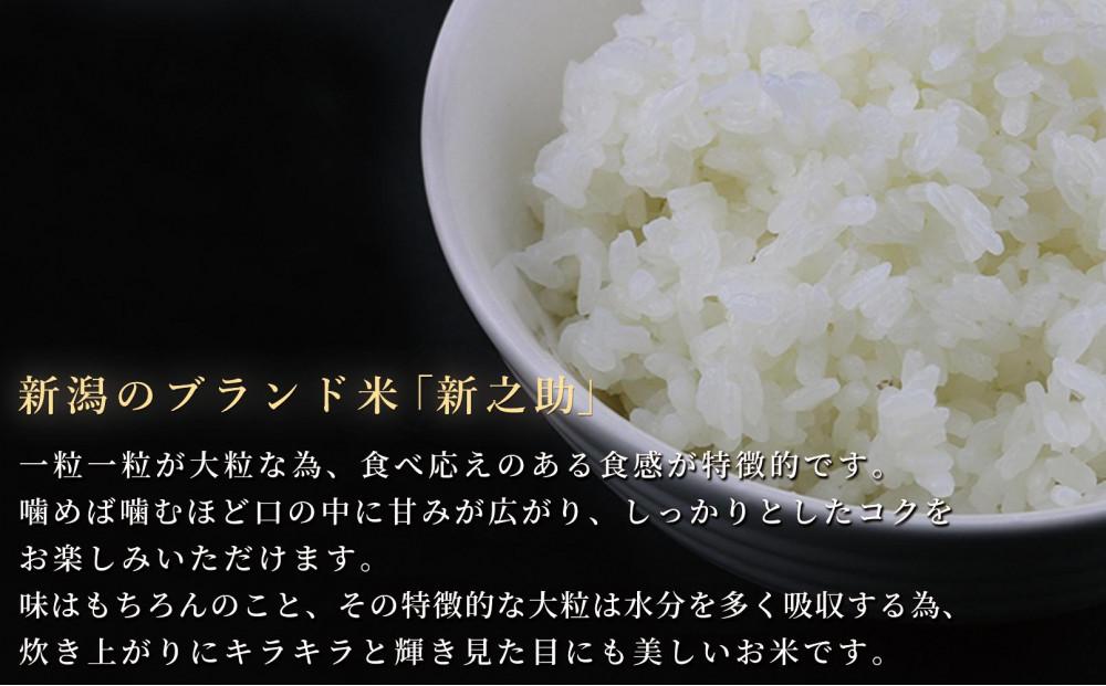 ＜令和6年産新米予約＞【定期便】中魚沼産「新之助(しんのすけ)」5kg×全12回