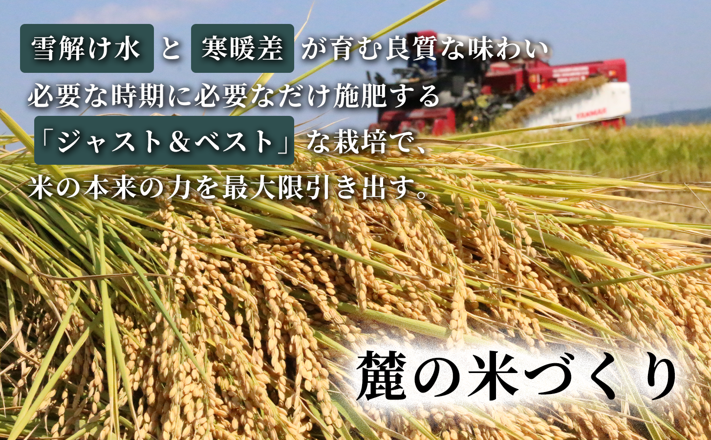 雪下にんじんジュース 200ml（6本） 果汁MIXタイプ 200ml（6本）5セット 新潟県 津南町 にんじん