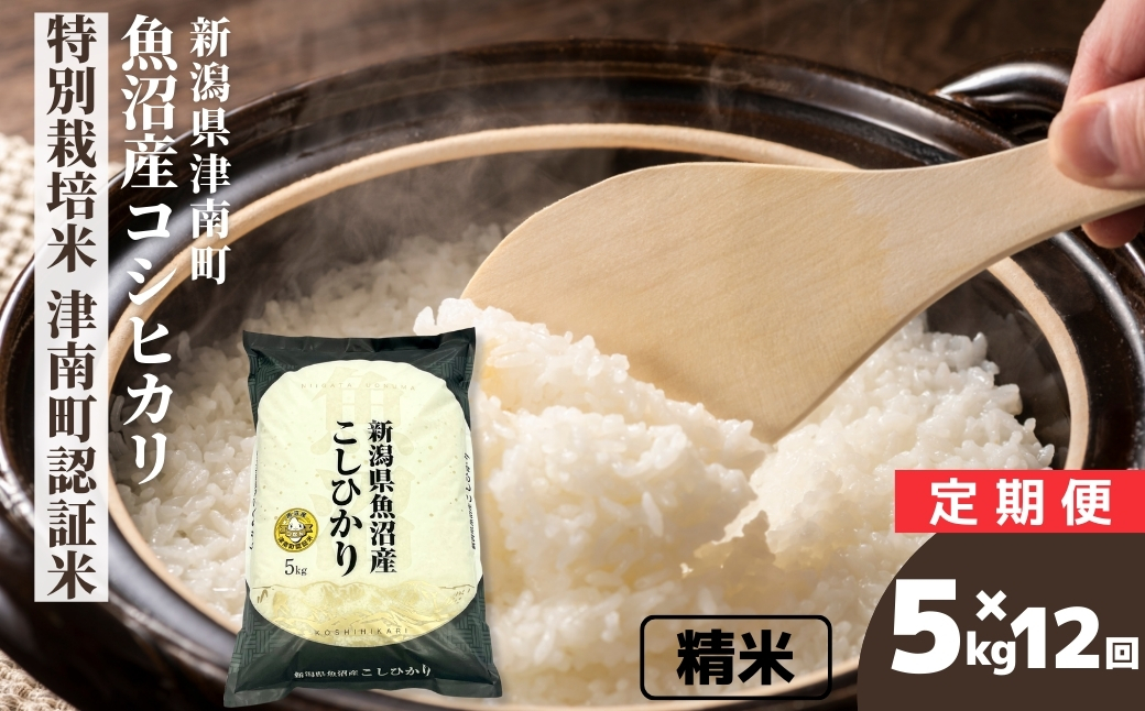 縲12繝カ譛亥ョ壽悄萓ソ縲代蝉サ、蜥7蟷エ逕」縲鷹ュ壽イシ逕」繧ウ繧キ繝偵き繝ェ 迚ケ蛻・譬ス蝓ケ邀ウ 豢・蜊礼伴隱崎ィシ邀ウシ5kgシ画眠貎溽恁 豢・蜊礼伴 螟ァ髦ェ螻句膚蠎