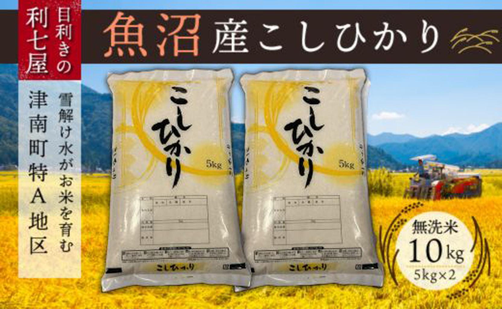 【令和7年産 新米】【魚沼産コシヒカリ 無洗米10kg（5kg×2袋）×全6回】雪解け水がお米を育む、津南町特A地区の美味しいお米。【令和7年10月以降発送】