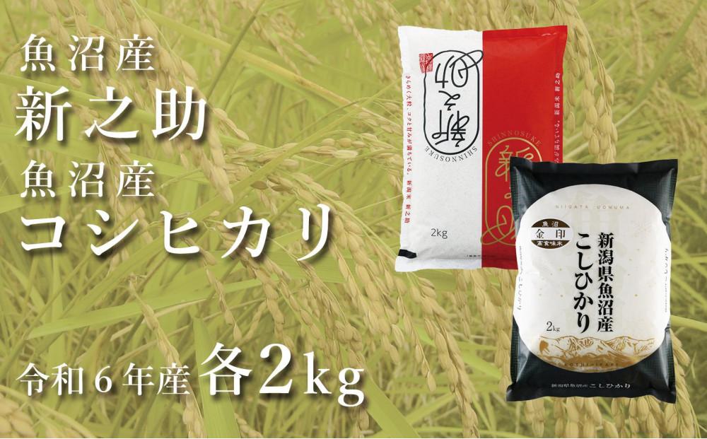 ＜令和6年産新米予約＞中魚沼産「新之助」2kg ＋ 魚沼産コシヒカリ「金印」2kg 食べ比べセット