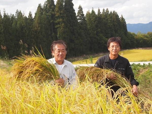 【毎月定期便　3ヵ月】最高級魚沼産こしひかり　【ダイヤモンド褒賞受賞　特別栽培米】 １０kg（5kg ×２）×全3回