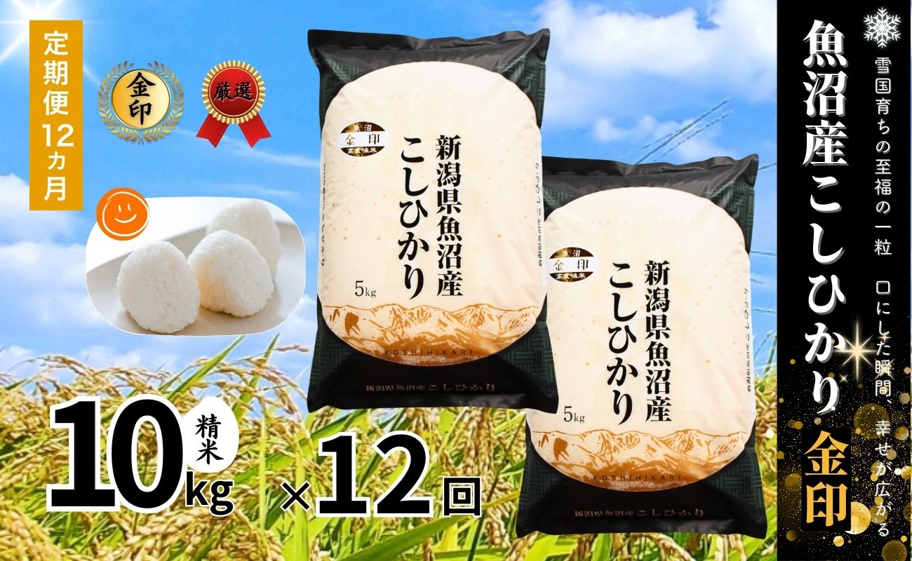 【12ヶ月定期便】令和7年産新米 魚沼産コシヒカリ「金印」高食味米 10kg×全12回