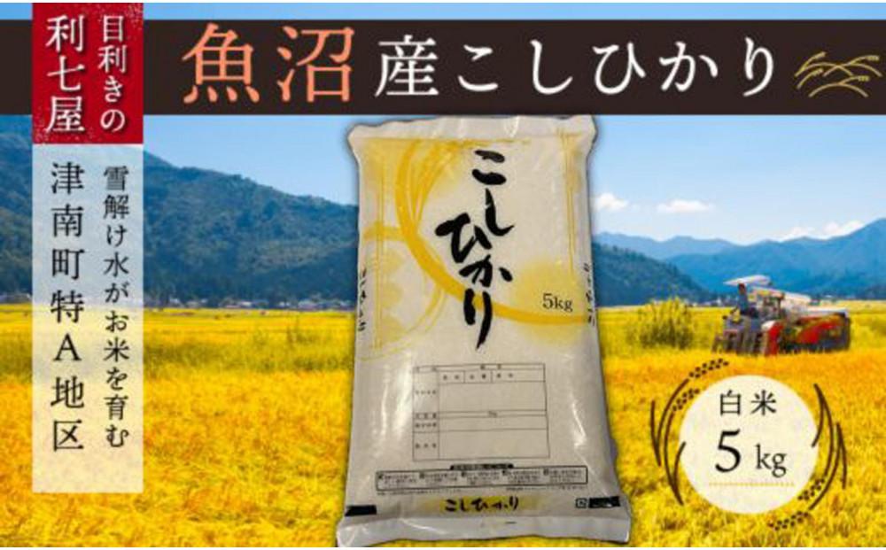 【令和6年産 新米】【魚沼産コシヒカリ 白米5kg×全3回】雪解け水がお米を育む、津南町特A地区の美味しいお米。