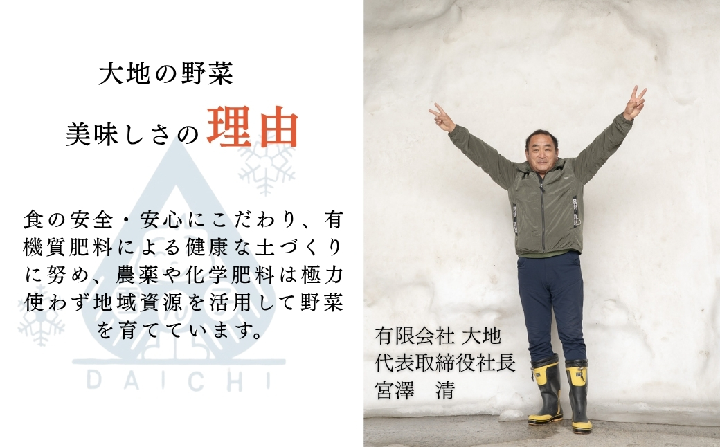 【スイートコーン 先行予約】雪室予冷 白とうもろこし 雪の妖精  2L〜L 10本入 | 津南町 有限会社大地