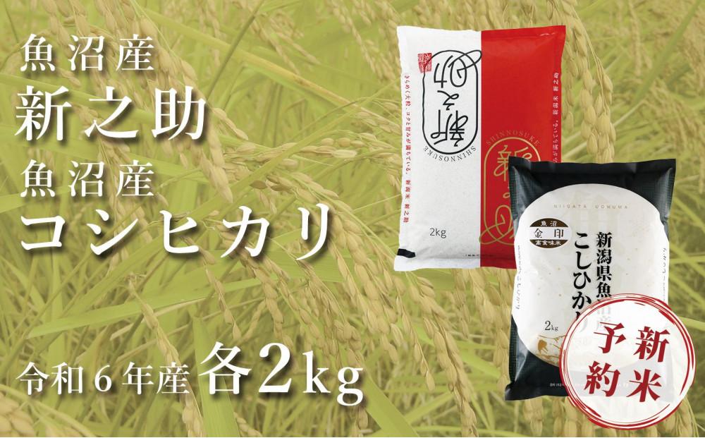 ＜令和6年産新米予約＞中魚沼産「新之助」2kg ＋ 魚沼産コシヒカリ「金印」2kg 食べ比べセット