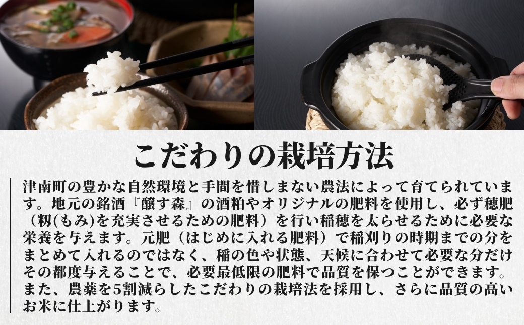 【令和8年産先行予約】【12ヶ月定期便】魚沼産  特別栽培米 コシヒカリ「ゆきやまと」5kg (5kg×1袋) ※節減対象農薬当地比5割減 ※東京米スターセレクション金賞受賞| こしひかり お米 おこめ こめ コメ ブランド米  新潟県 津南町