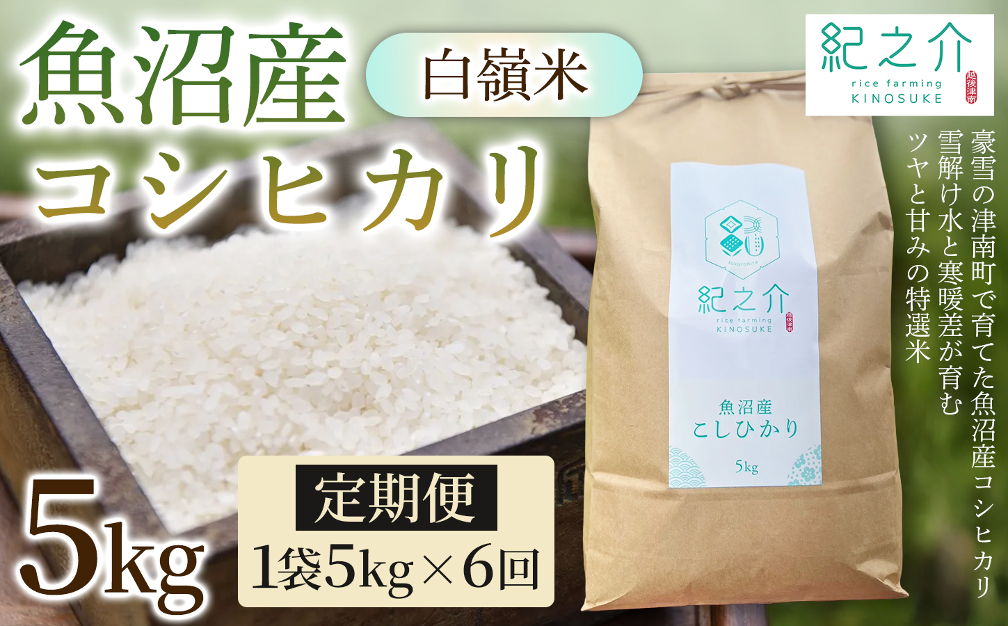 【令和8年産先行予約】【6ヶ月定期便】魚沼産コシヒカリ 白嶺米 5kg(5kg×1袋) | 新潟県 津南町 株式会社紀之介