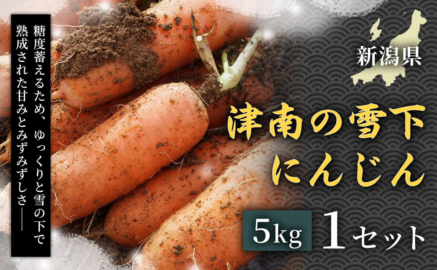 【令和8年産先行予約】津南の雪下にんじん 5kg 1セット 人参 新潟県 津南町