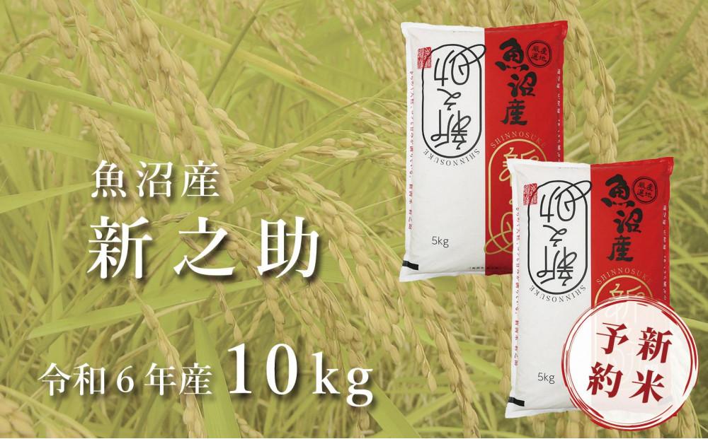 ＜令和6年産新米予約＞中魚沼産「新之助(しんのすけ)」10kg