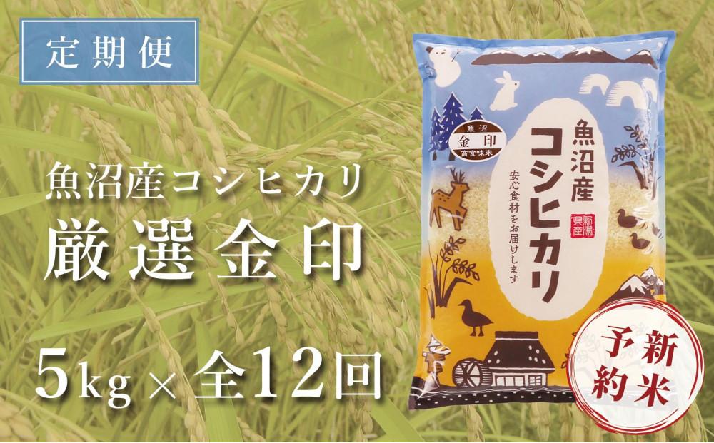 ＜令和6年産新米予約＞【定期便】魚沼産コシヒカリ「金印」高食味米 5kg×全12回