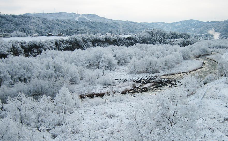 【数量限定】雪国もち 幻のもち米「〆張りもち」1kg ＋「こがねもち」1kg 食べ比べセット