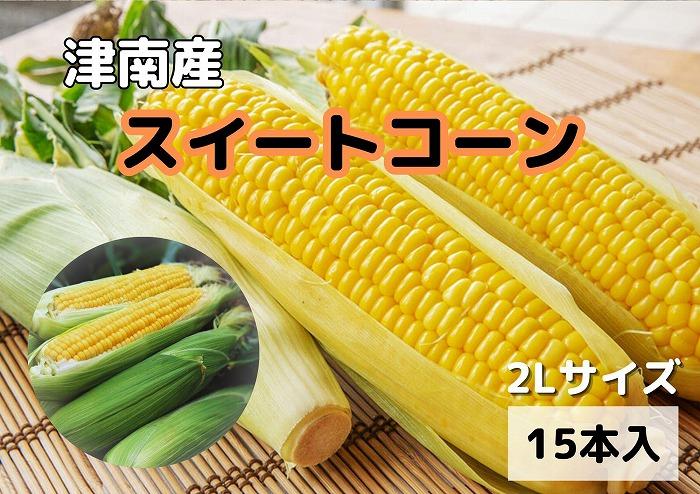 【新潟県 津南町産】朝取りスイートコーン 2Lサイズ 15本（1本約400g）