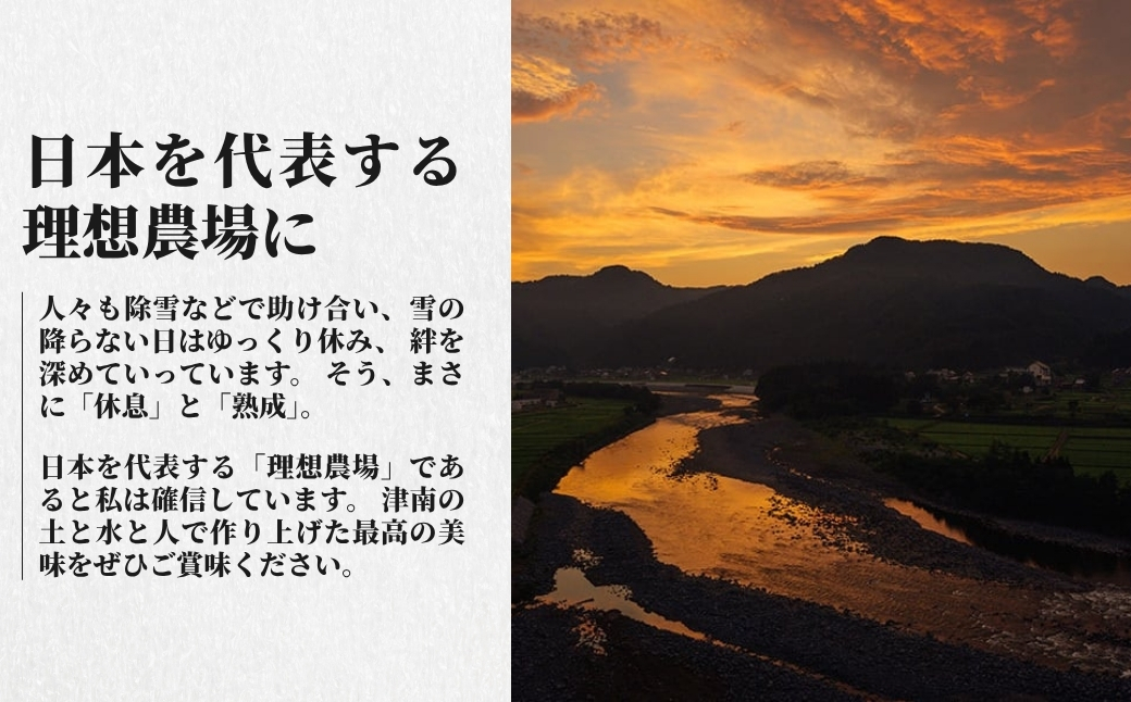 【令和8年産先行予約】【12ヶ月定期便】魚沼産  特別栽培米 コシヒカリ「ゆきやまと」20kg (5kg×4袋) ※節減対象農薬当地比5割減 ※東京米スターセレクション金賞受賞| こしひかり お米 おこめ こめ コメ ブランド米  新潟県 津南町