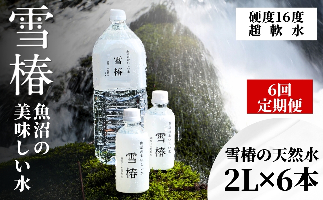【6ヶ月定期便】雪椿の天然水 2L×6本