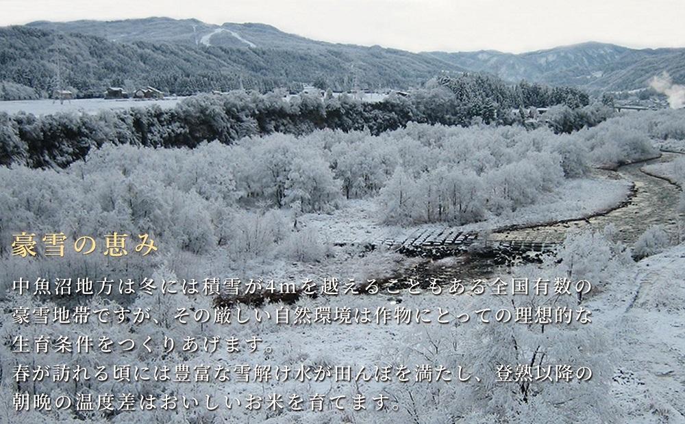 ＜令和6年産新米予約＞魚沼産コシヒカリ「金印」高食味米 5kg