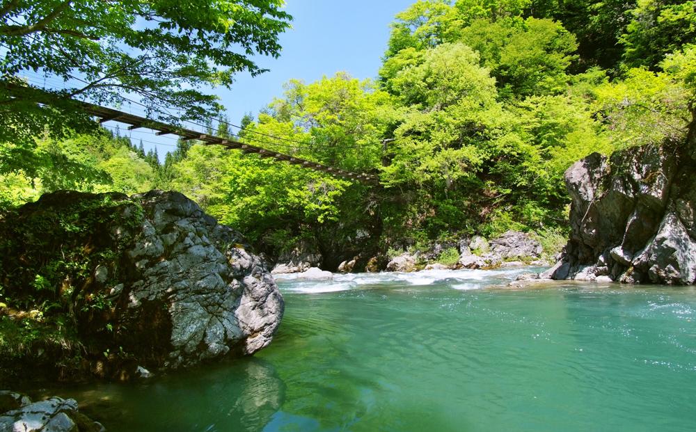 定期便【合計120kg】20kg×6回 県認証 魚沼産新之助