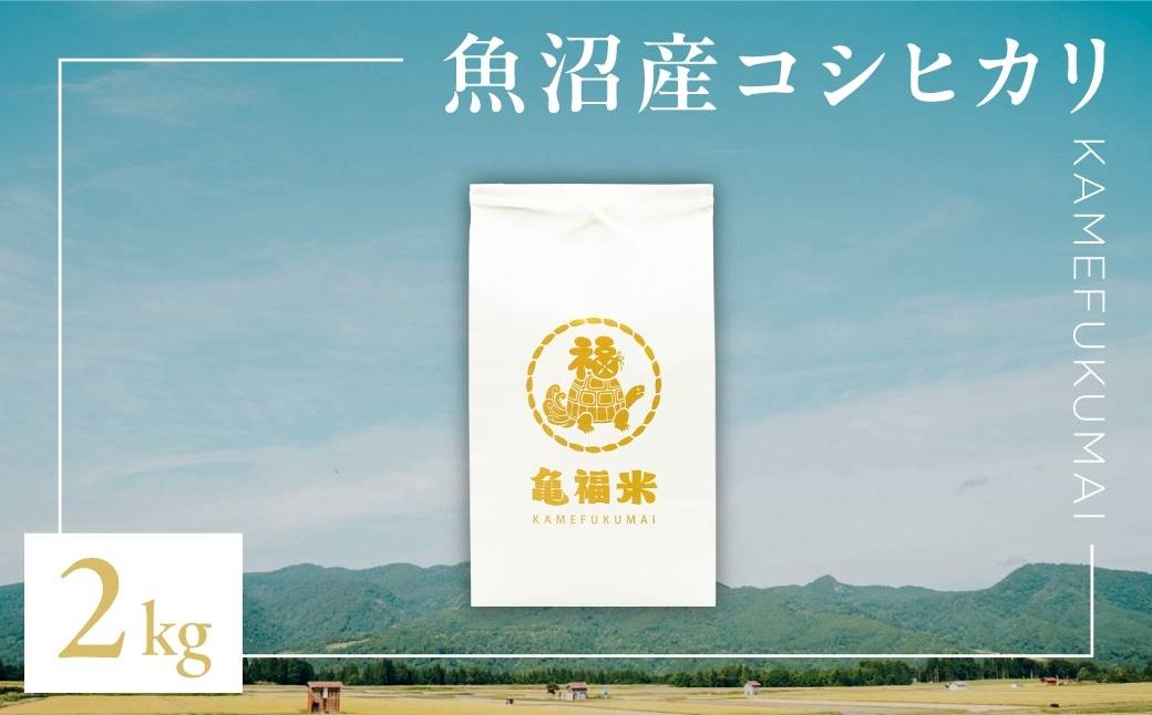 莉、蜥7蟷エ逕」 讌オ荳 鬲壽イシ逕」繧ウ繧キ繝偵き繝ェ縲御コ遖冗アウ縲2kg (迚ケ蛻・譬ス蝓ケ邀ウ) | 縺顔アウ 縺翫%繧 逋ス邀ウ 邊セ邀ウ 縺翫☆縺吶a 莠コ豌 譁ー貎溽恁 豢・蜊礼伴 譬ェ蠑丈シ夂、セ莠遖
